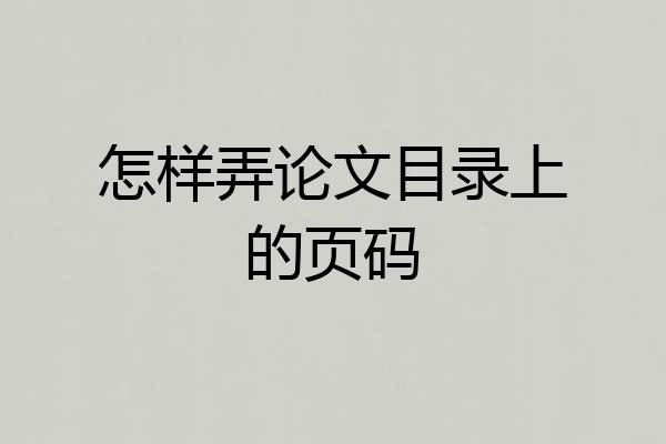 怎样弄论文目录上的页码