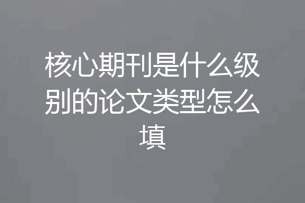 核心期刊是什么级别的论文类型怎么填
