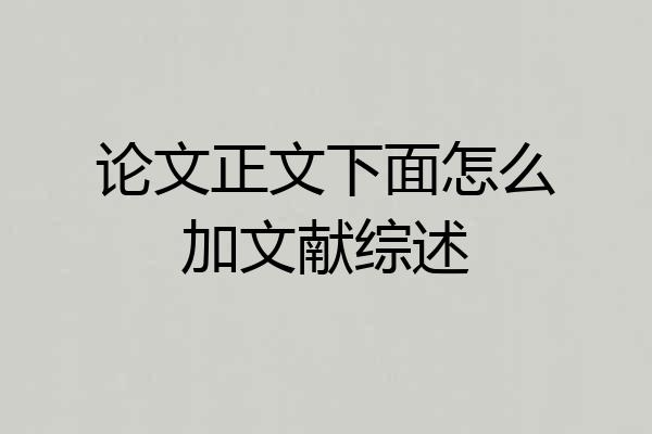 论文正文下面怎么加文献综述