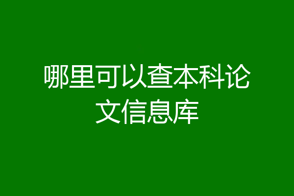 哪里可以查本科论文信息库