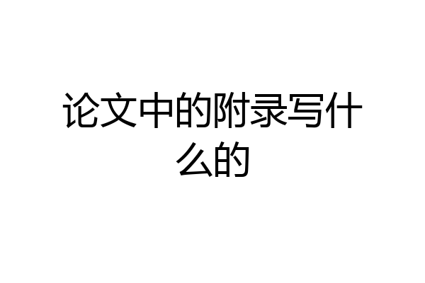 论文中的附录写什么的