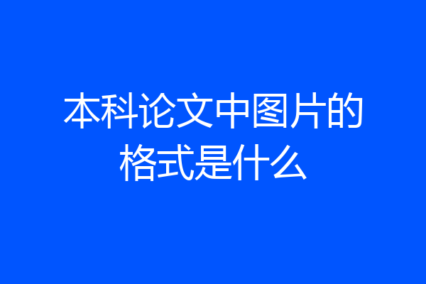 本科论文中图片的格式是什么