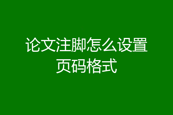 论文注脚怎么设置页码格式
