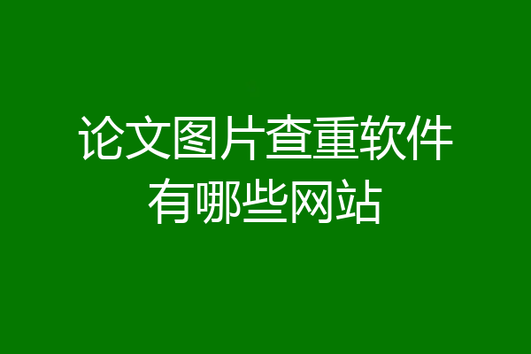 论文图片查重软件有哪些网站