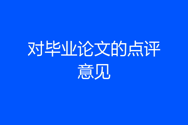 对毕业论文的点评意见
