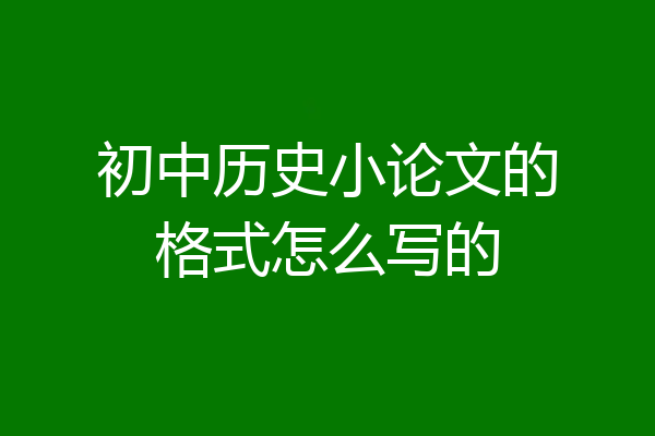 初中历史小论文的格式怎么写的