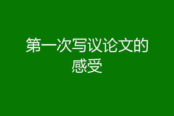 第一次写议论文的感受