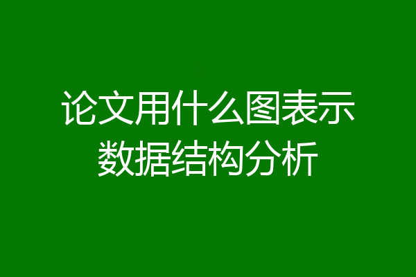 论文用什么图表示数据结构分析