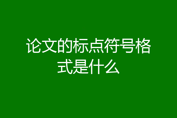论文的标点符号格式是什么