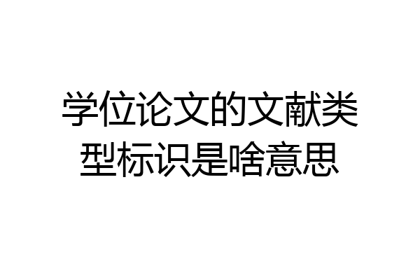 学位论文的文献类型标识是啥意思
