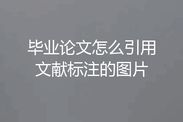 毕业论文怎么引用文献标注的图片