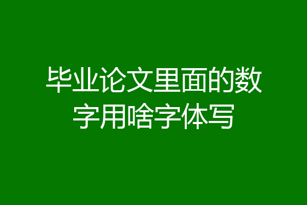 毕业论文里面的数字用啥字体写