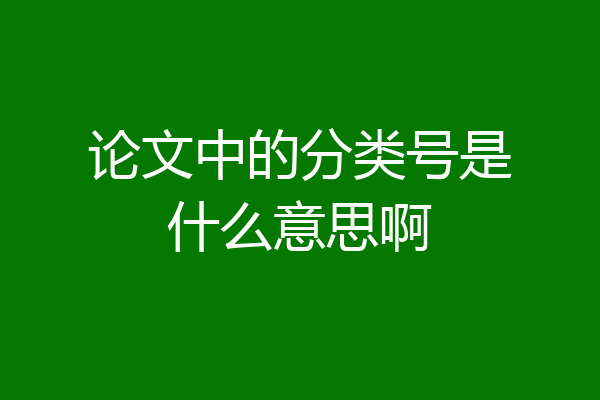 论文中的分类号是什么意思啊
