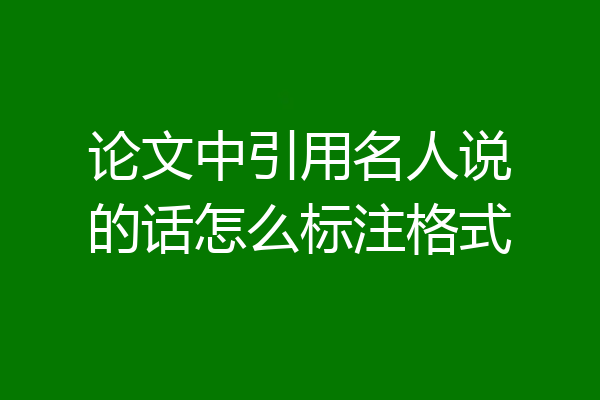 论文中引用名人说的话怎么标注格式