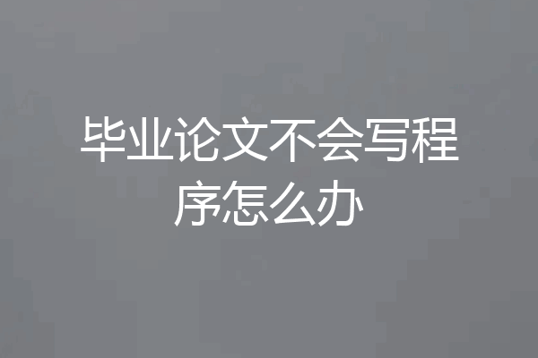 毕业论文不会写程序怎么办
