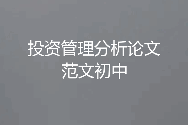 投资管理分析论文范文初中