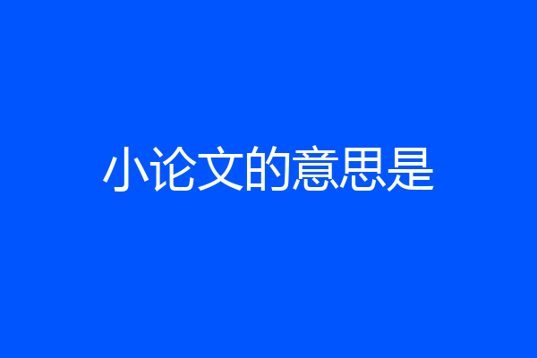 小论文的意思是