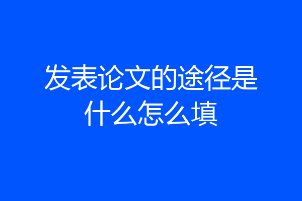 发表论文的途径是什么怎么填