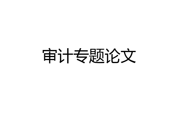 审计专题论文