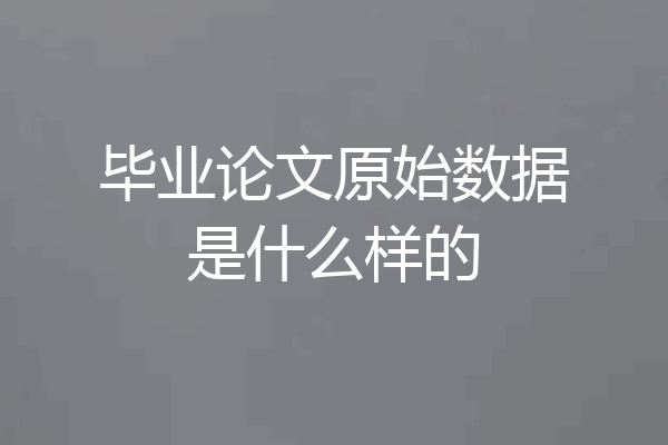 毕业论文原始数据是什么样的