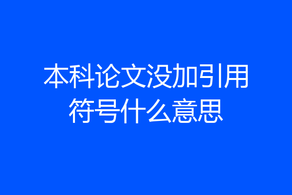 本科论文没加引用符号什么意思