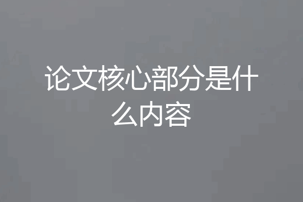 论文核心部分是什么内容