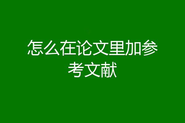 怎么在论文里加参考文献
