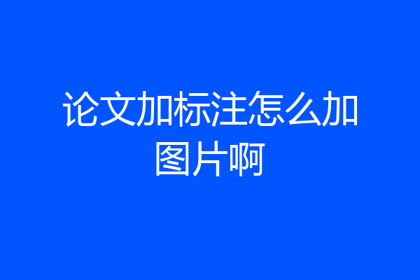 论文加标注怎么加图片啊