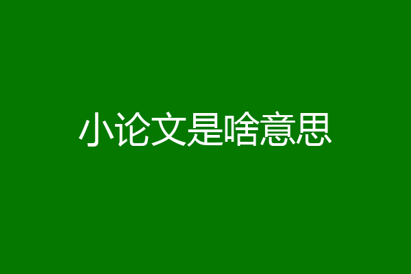 小论文是啥意思