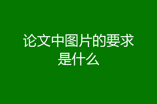 论文中图片的要求是什么
