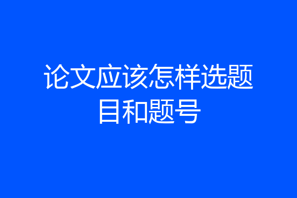 论文应该怎样选题目和题号
