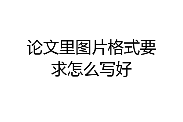 论文里图片格式要求怎么写好