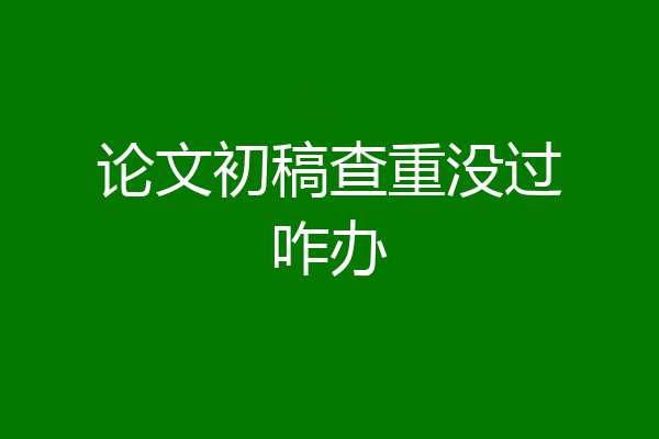论文初稿查重没过咋办