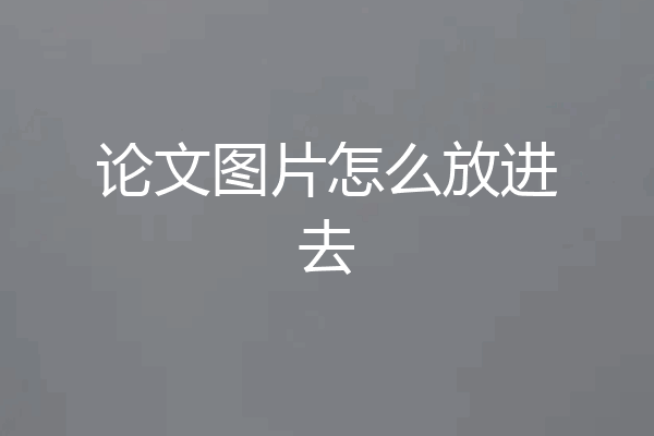 论文图片怎么放进去