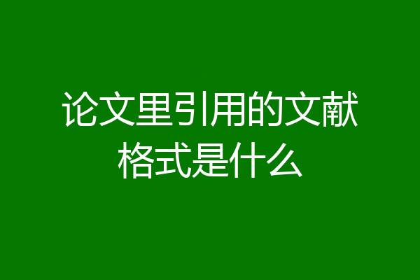 论文里引用的文献格式是什么