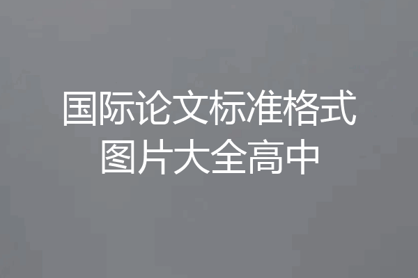 国际论文标准格式图片大全高中