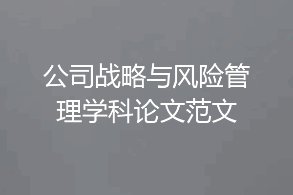 公司战略与风险管理学科论文范文