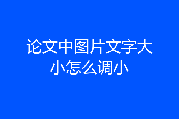 论文中图片文字大小怎么调小