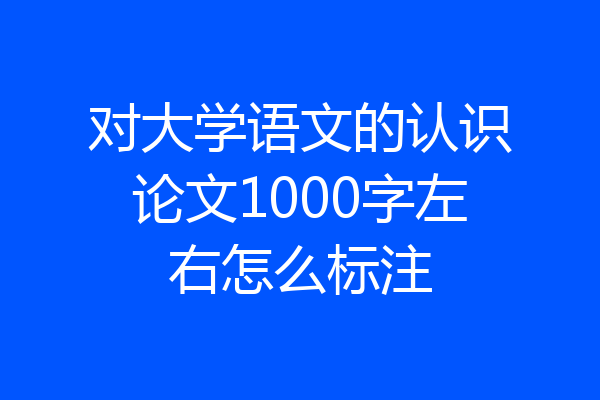 对大学语文的认识论文1000字左右怎么标注