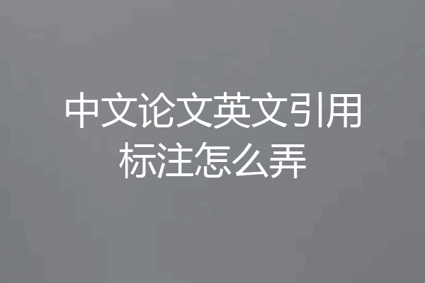 中文论文英文引用标注怎么弄
