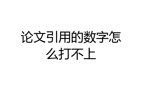 论文引用的数字怎么打不上