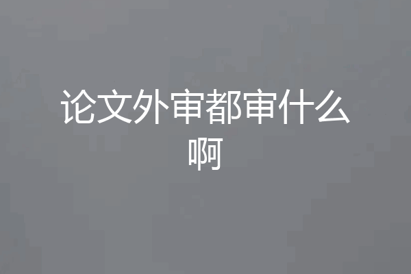论文外审都审什么啊