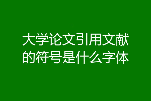 大学论文引用文献的符号是什么字体