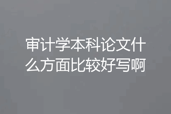 审计学本科论文什么方面比较好写啊