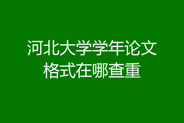 河北大学学年论文格式在哪查重
