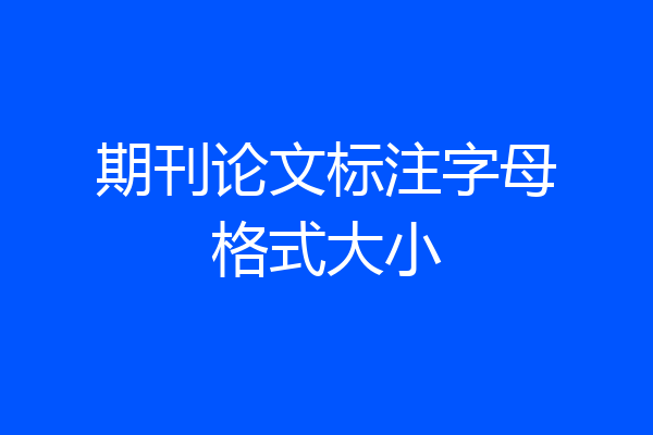 期刊论文标注字母格式大小