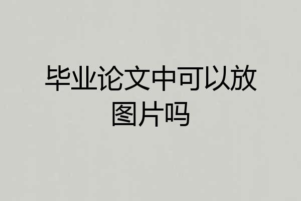 毕业论文中可以放图片吗
