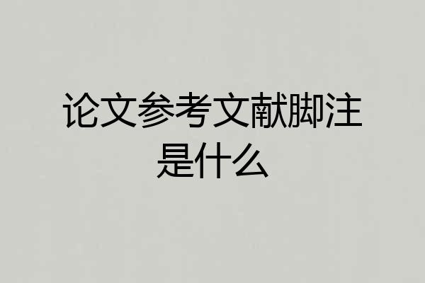 论文参考文献脚注是什么