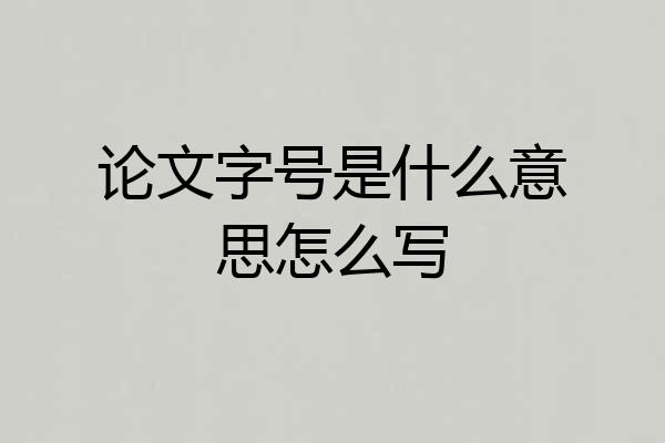 论文字号是什么意思怎么写