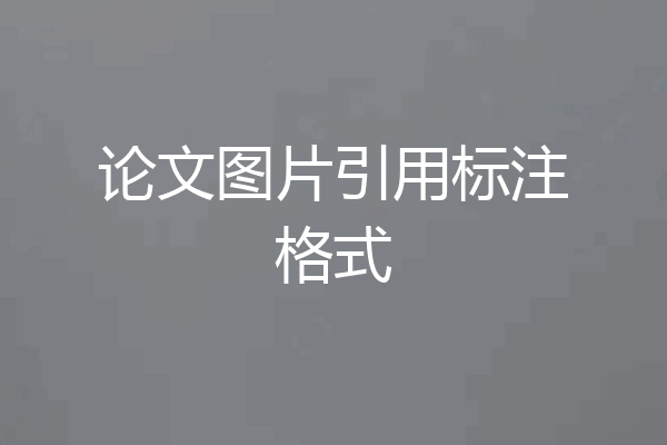 论文图片引用标注格式